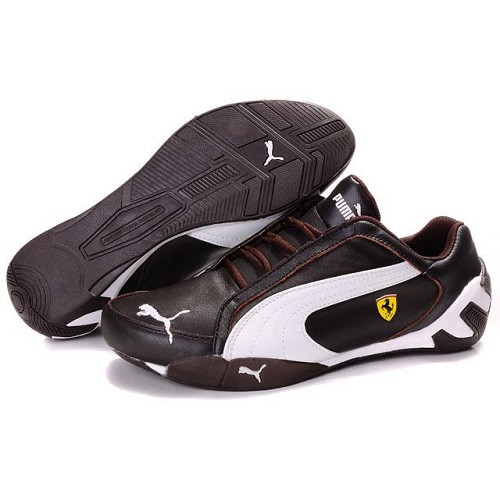 PUMA Tour Cat Lo Shoes In Chocolate-White 01,puma casual shoes,online leading retailer,-Mens Puma Tour Cat Lo L Top Designer, -Mens Puma Tour Cat Lo L New Trend, -Mens Puma Tour Cat Lo L Large Collections