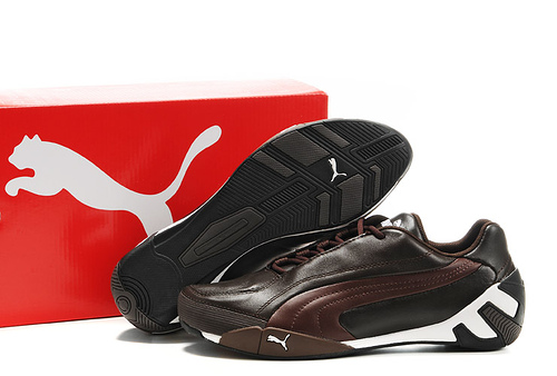 Puma Fluxion ii Shoes Brown/Chocolate,puma bags,USA Sale Online Store,Puma-Women's Puma-Puma Fluxion ii Shoes Top Designer, Puma-Women's Puma-Puma Fluxion ii Shoes New Trend, Puma-Women's Puma-Puma Fluxion ii Shoes Large Collections